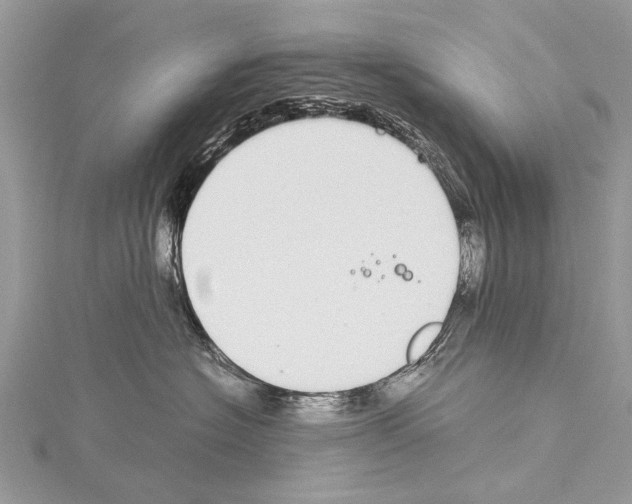 X0000114170574200911191249