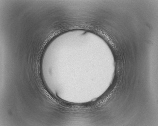 X0000114170585200911191248