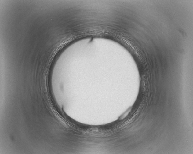 X0000114170589200911191248