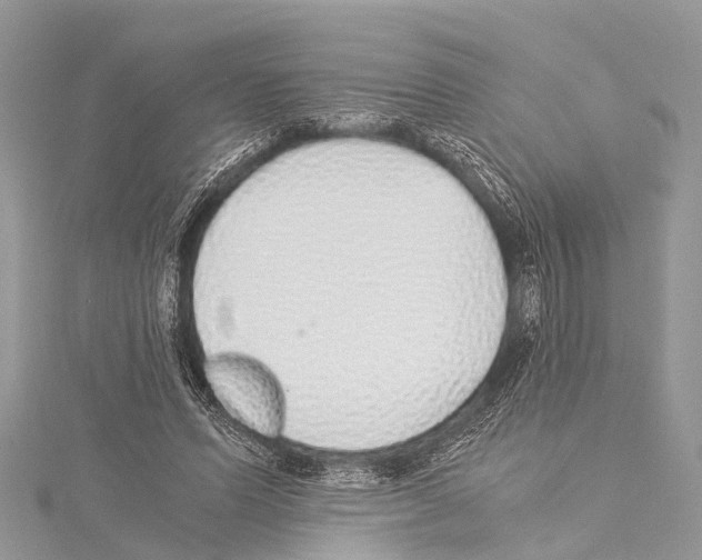 X0000114170591200911191248