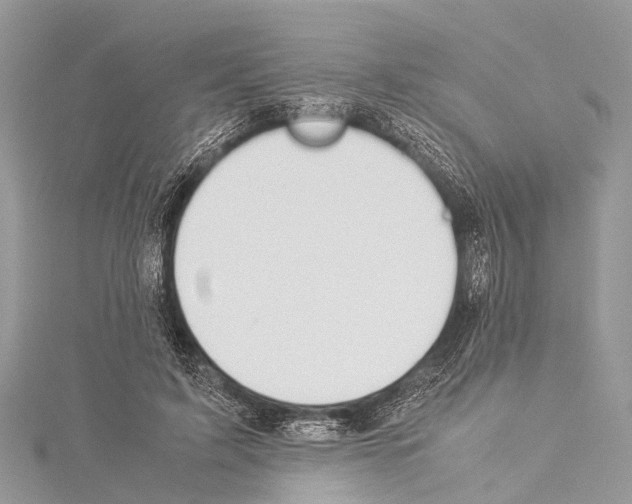 X0000114170595200911191248