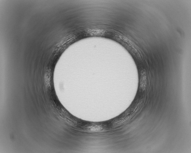 X0000114170604200911191248