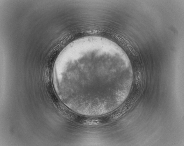 X0000114170606200911191248