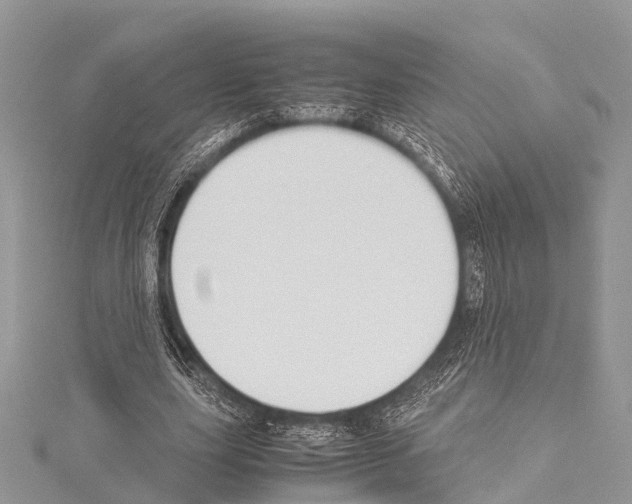 X0000114170631200911191247
