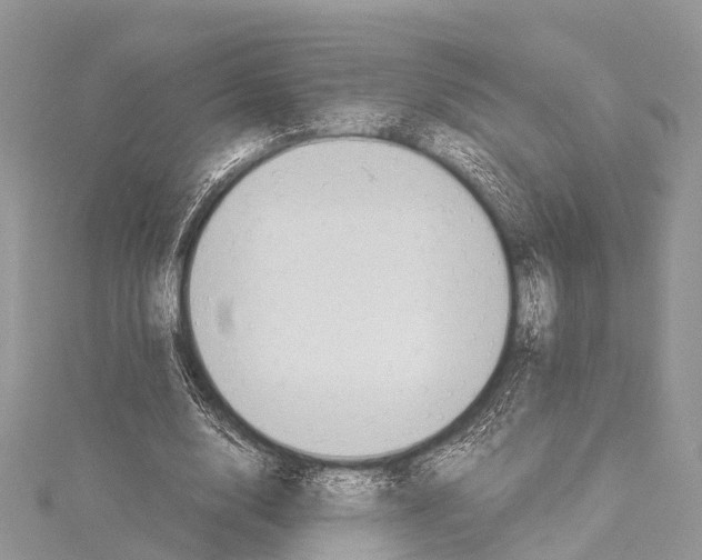 X0000114170632200911191247