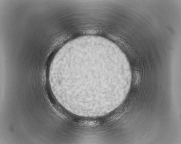 X0000114170638200911191247