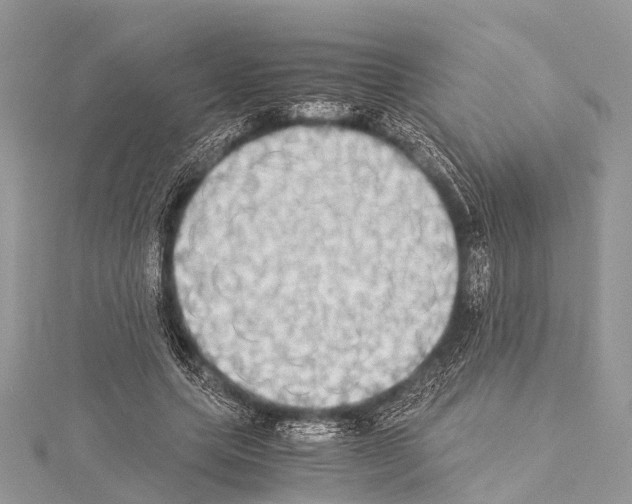X0000114170639200911191247