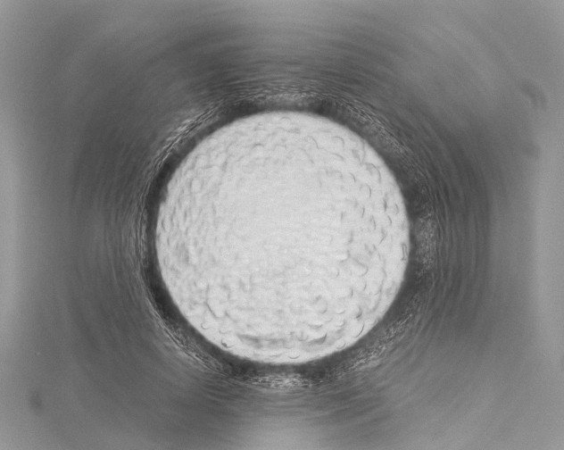 X0000114170642200911191247