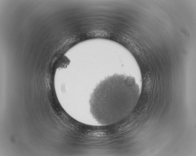 X0000114170643200911191247