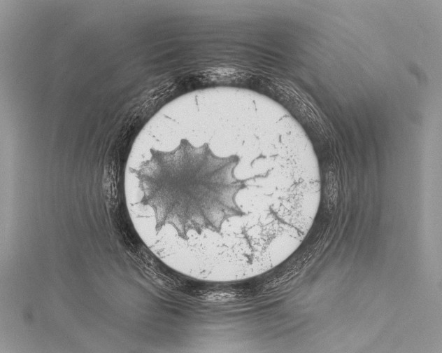 X0000114170653200911191247