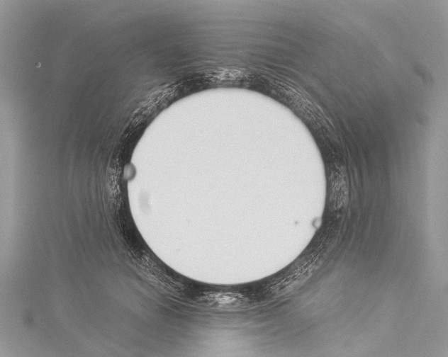 X0000114170654200911191247