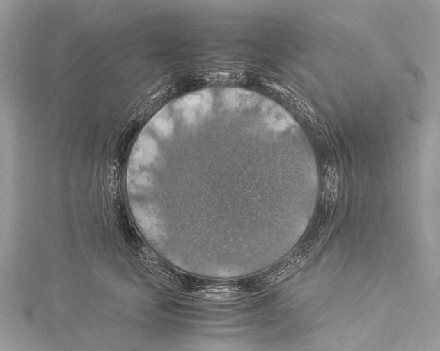 X0000114170659200911191248