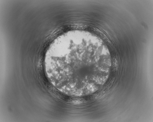 X0000114170663200911191248