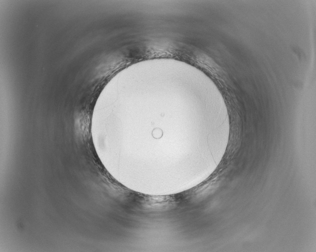 X0000114170672200911191248