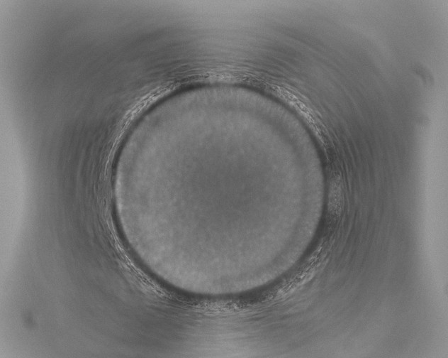 X0000114170673200911191247