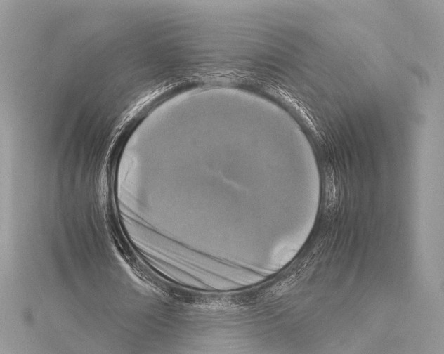 X0000114170674200911191247