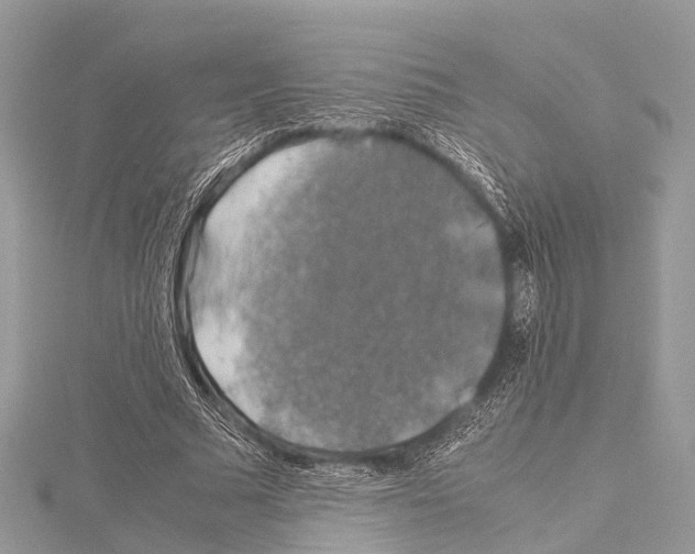X0000114170681200911191247