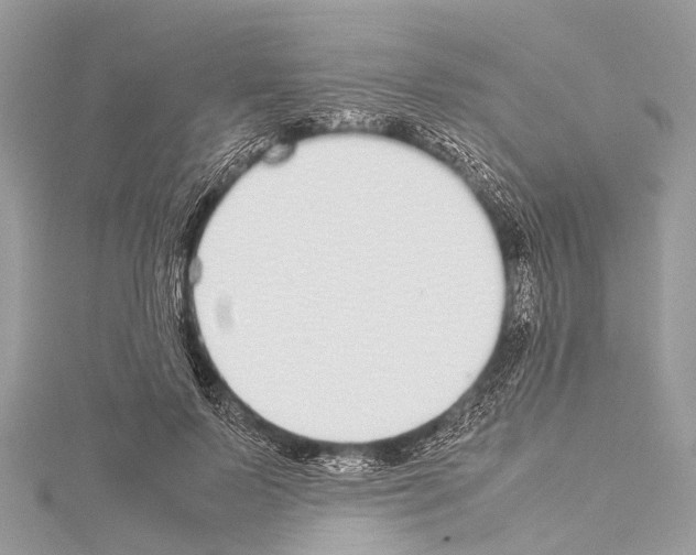 X0000114170695200911191247