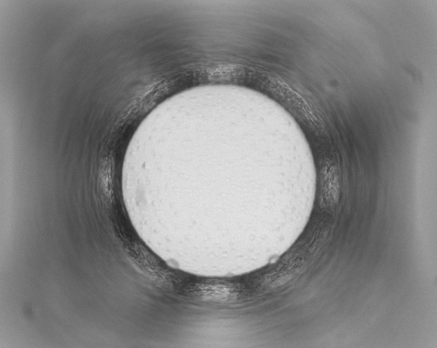 X0000114170698200911191247