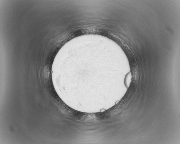 X0000114170715200911191247