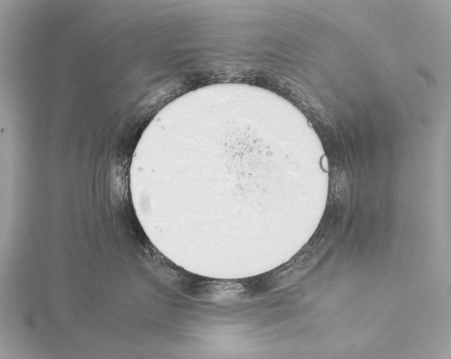 X0000114170719200911191246