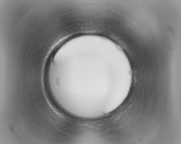 X0000114170728200911191246