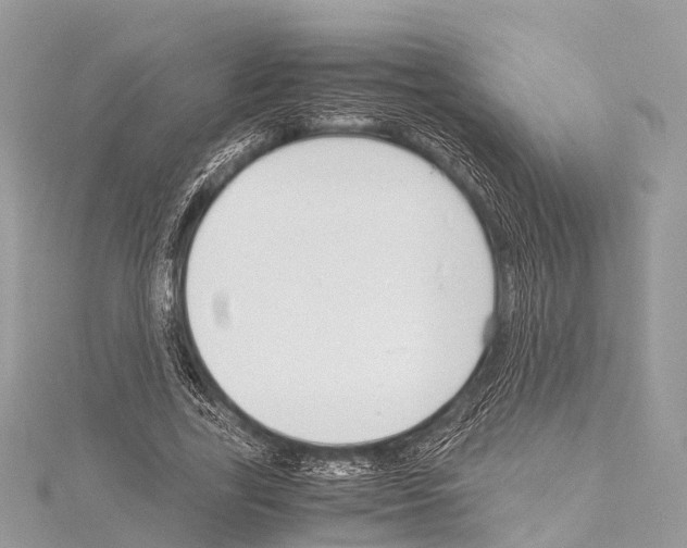 X0000114170731200911191246