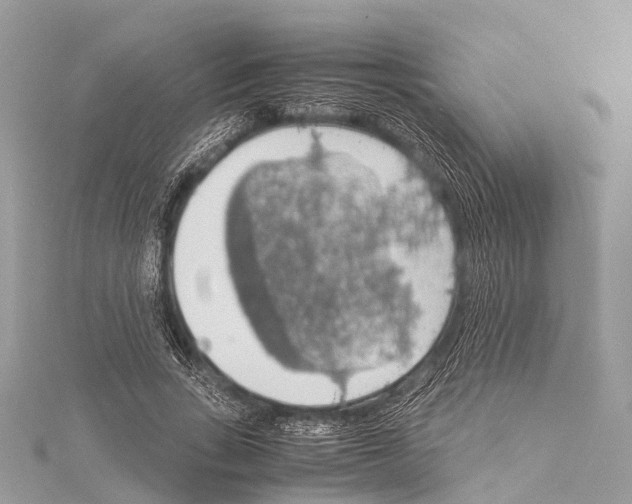 X0000114170735200911191246