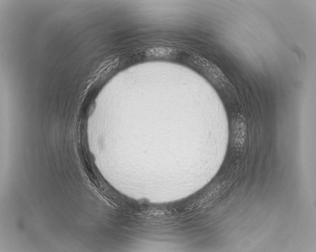 X0000114170738200911191246