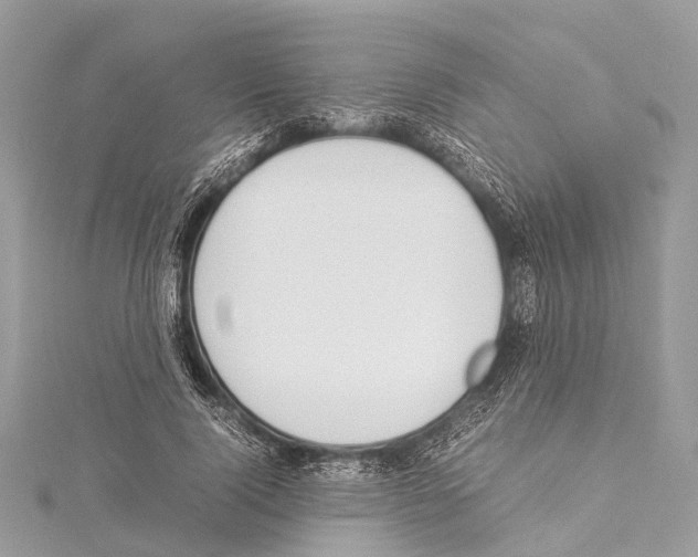 X0000114170740200911191246