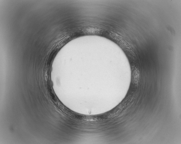 X0000114170746200911191246