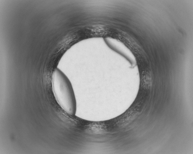 X0000114170756200911191246