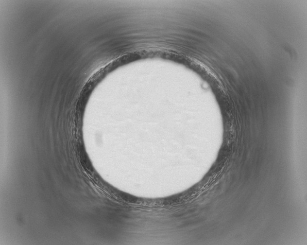 X0000114170775200911191246