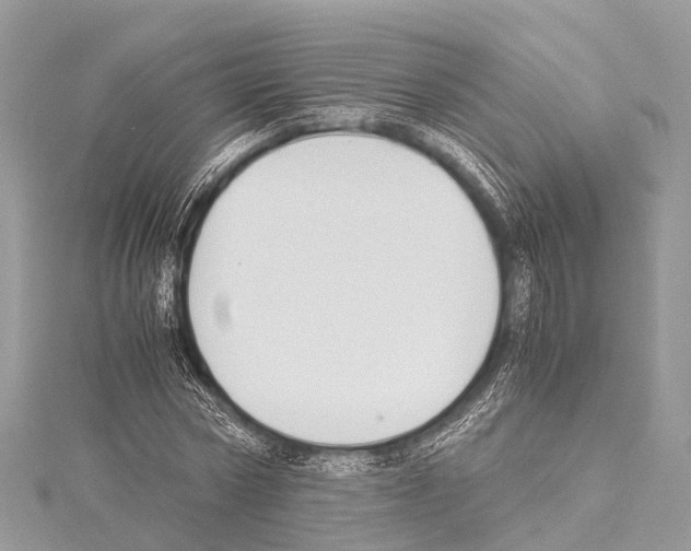 X0000114170778200911191246