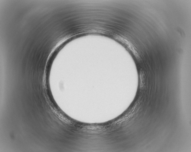 X0000114170780200911191246