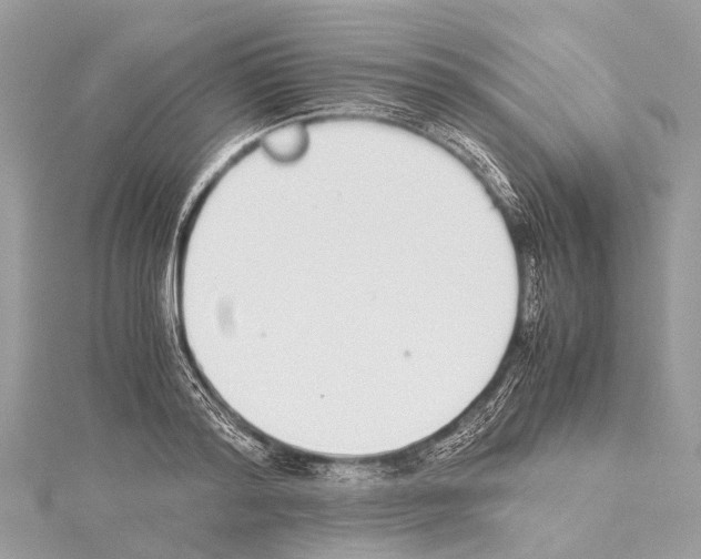 X0000114170796200911191245