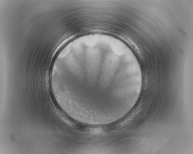 X0000114170798200911191245