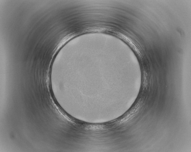 X0000114170802200911191245