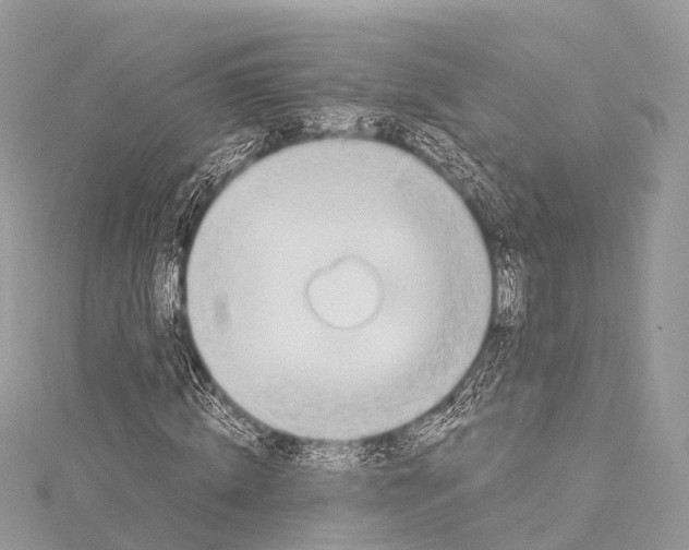 X0000114170820200911191245