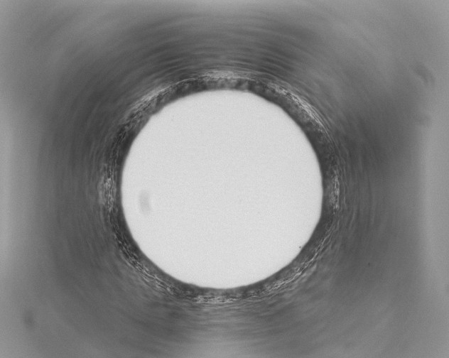 X0000114170821200911191245