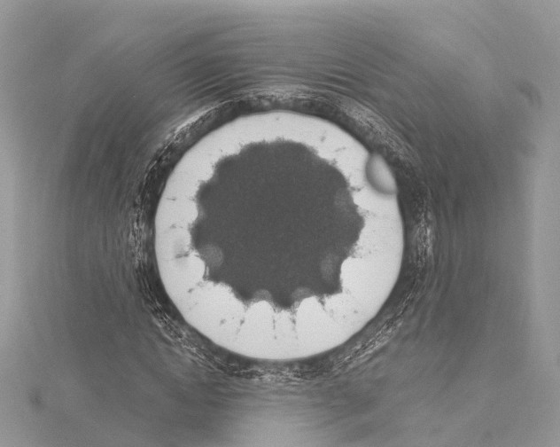 X0000114170822200911191245