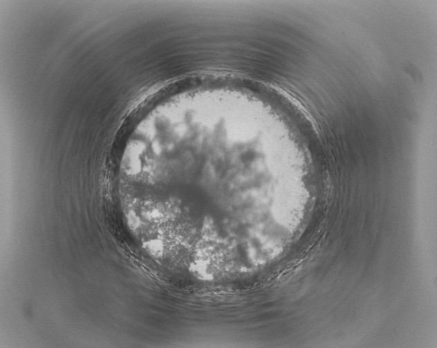 X0000114170823200911191245