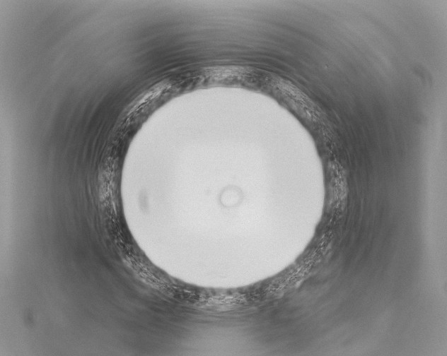 X0000114170824200911191245