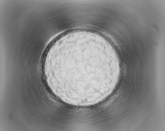 X0000114170830200911191245