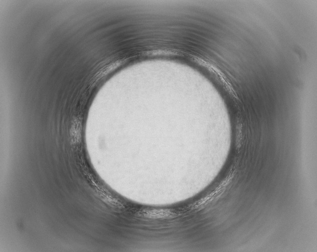 X0000114170833200911191245