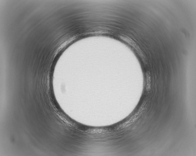 X0000114170834200911191245