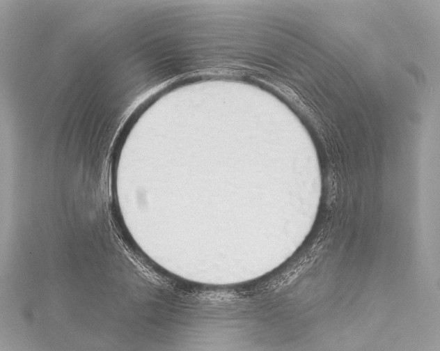 X0000114170838200911191245