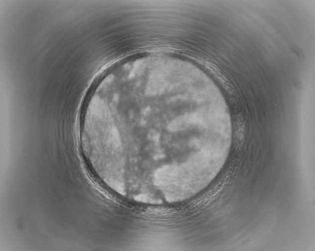 X0000114170840200911191245