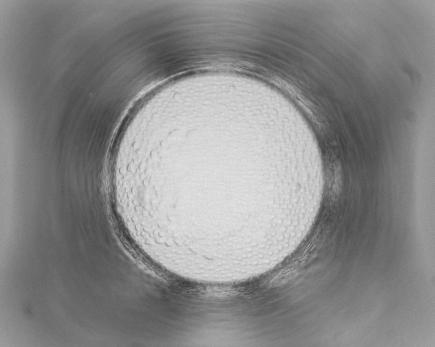 X0000114170848200911191245