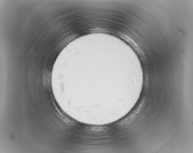 X0000114170849200911191245